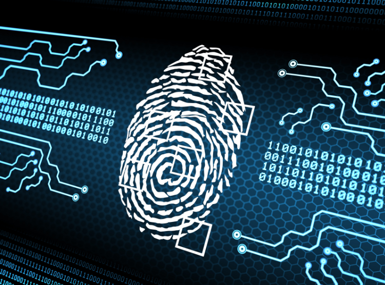 Insider threat investigation and evidence review visual.
